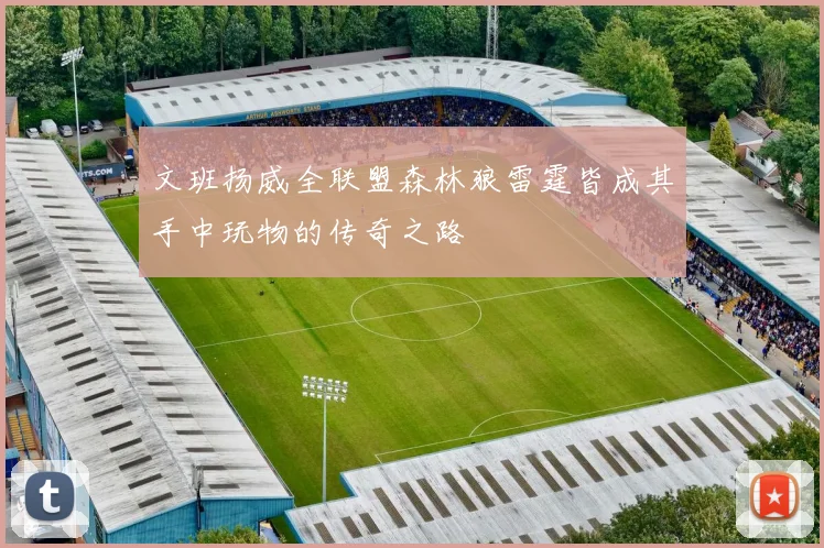 文班扬威全联盟森林狼雷霆皆成其手中玩物的传奇之路